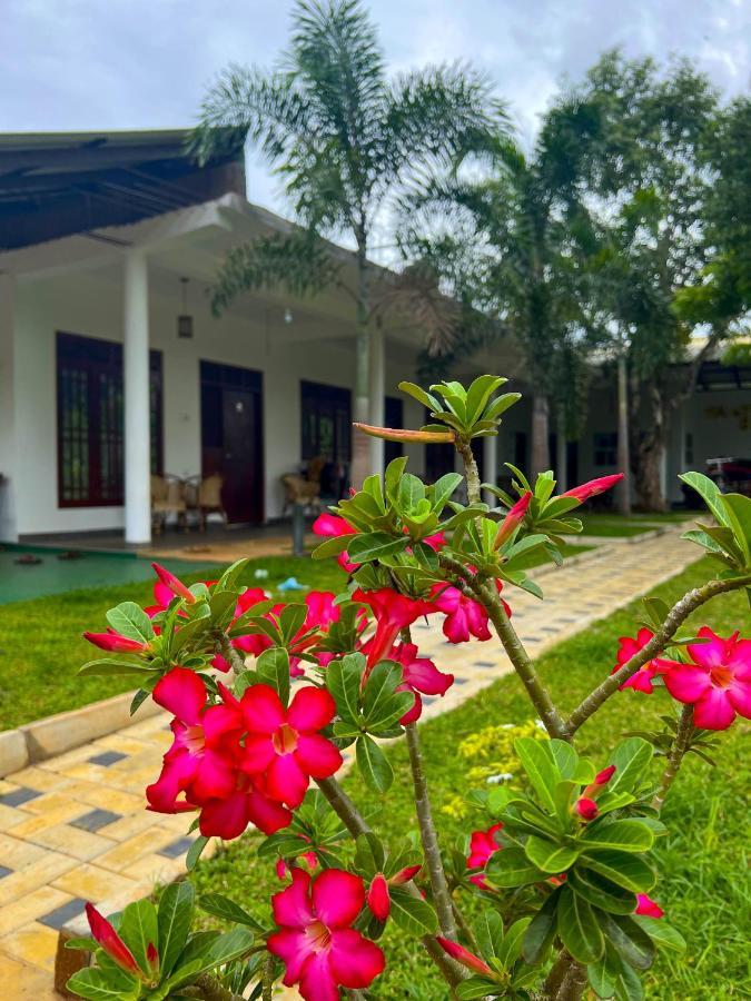 Sigiriya Green Garden Homestay Exterior foto